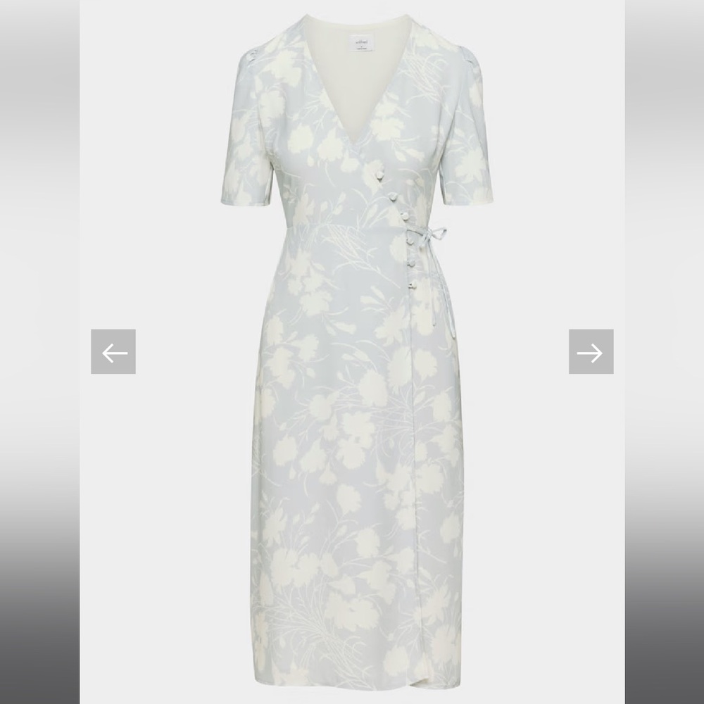 Aritzia - Lulea Dress